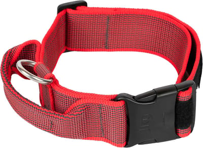 Halsband met Handvat, Veiligheidsslot en Verwisselbare Labels voor Honden, 50 mm (49-70 cm), Rood-Grijs