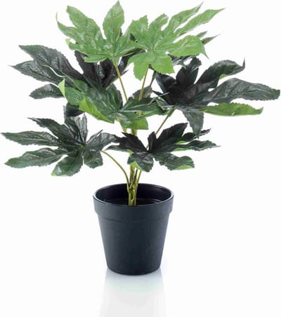 Emerald - Kunstplant in pot Fatsia 30cm - Kunstplant voor binnen