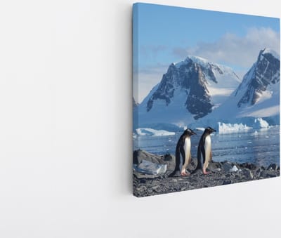 Saammp Canvas Schilderij - Pinguin op de zuidpool - Natuur - Dieren - 20x20 - Foto op canvas - Wanddecoratie - Muurdecoratie Woonkamer - Slaapkamer decoratie - Canvas Print