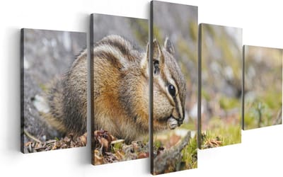 Artaza Canvas Schilderij Vijfluik Eekhoorn op het Gras tussen de Bladeren - 100x50 - Foto Op Canvas - Canvas Print
