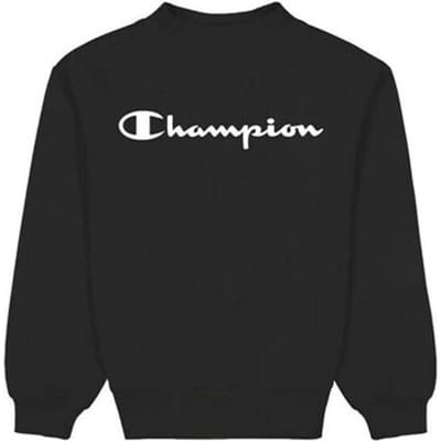Sweaters Champion Crewneck Sweatshirt