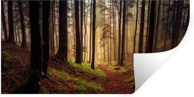 Muurstickers - Sticker Folie - Bomen - Natuur - Bos - 40x20 cm - Plakfolie - Muurstickers Kinderkamer - Zelfklevend Behang - Zelfklevend behangpapier - Stickerfolie