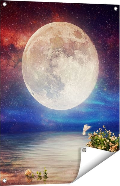 Gards Tuinposter Volle Maan in de Hemel boven het Water - 60x80 cm - Tuindoek - Tuindecoratie - Wanddecoratie buiten - Tuinschilderij