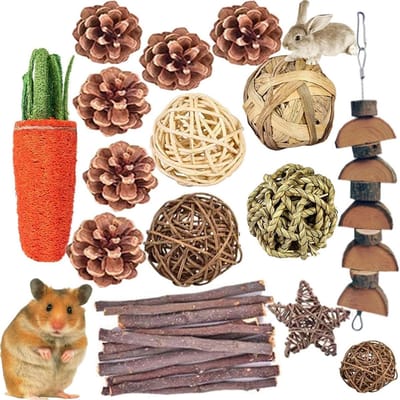Hamster Kauwspeelgoed - Knaagdier Speelgoed - Tanden Onderhoud - Natuurlijk Hout - 24 Stuks - Natuurlijk