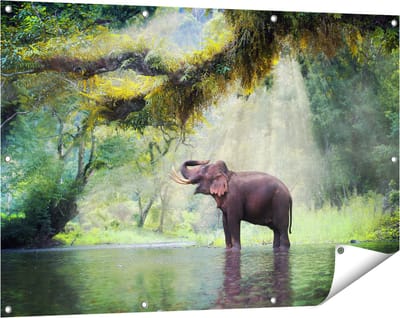 Gards Tuinposter Vrolijke Olifant in het Water - 120x80 cm - Tuindoek - Tuindecoratie - Wanddecoratie buiten - Tuinschilderij