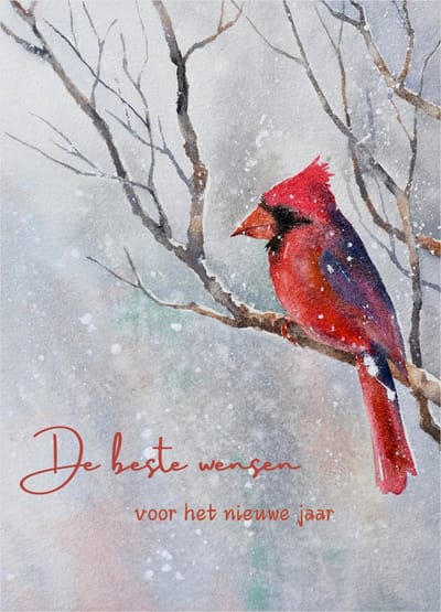 Nieuwjaarskaart met rode kardinaal in de sneeuw- De beste wensen voor het nieuwe jaar- Kwaliteitskaart 400 grams papier- Achterzijde voorbedrukt met adresregels