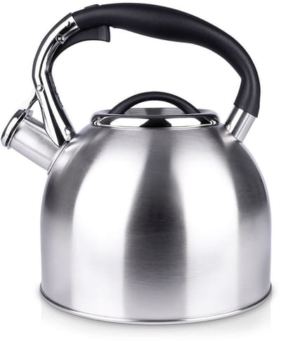 Orion - Stalen Fluitketel - 2L - Ergonomisch Handvat - Zilver