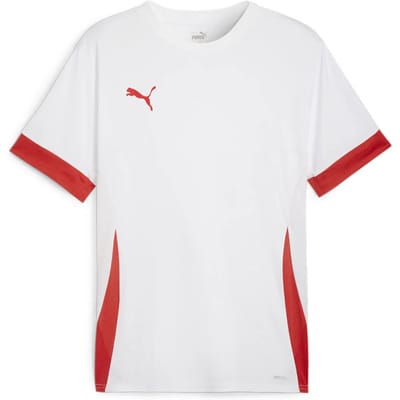 Puma TeamGOAL Matchday Shirt Heren - Maat S