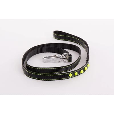 Fluo hondenlijn Martin Sellier