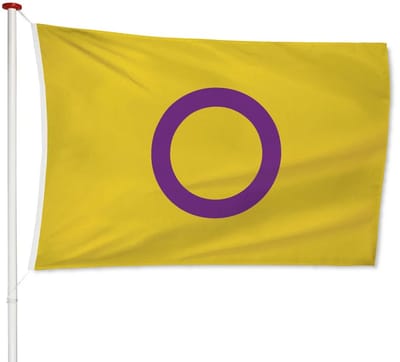 Intersekse Vlag 150x225cm - LGBTQ+ Gay Pride Flag Regenboog - Kwaliteitsvlag - Geschikt voor buiten