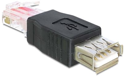 Delock USB 2.0 Type-A Female naar RJ45 Male adapter