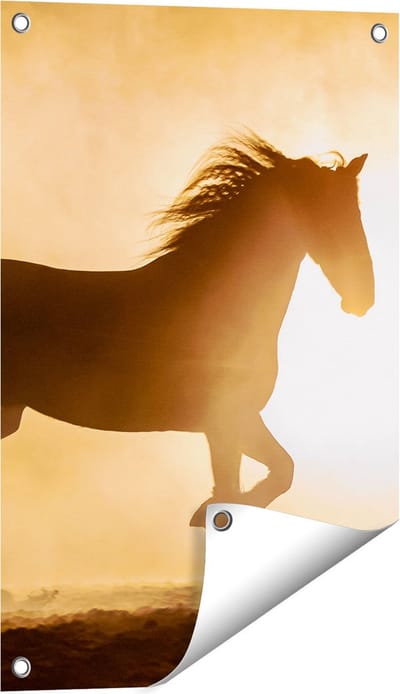 Gards Tuinposter Silhouet van een Paard - 40x60 cm - Tuindoek - Tuindecoratie - Wanddecoratie buiten - Tuinschilderij