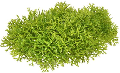 Decoratief mos kunstgroen – moskussen 10/12/14cm 3 st, 3 Stück