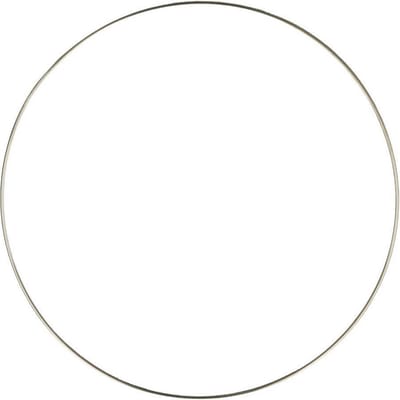 Opry Dromenvanger ring roestvrij staal 15cm
