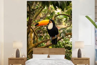 Behang - Fotobehang Vogel - Toekan - Jungle - Natuur - Tropisch - Breedte 200 cm x hoogte 300 cm