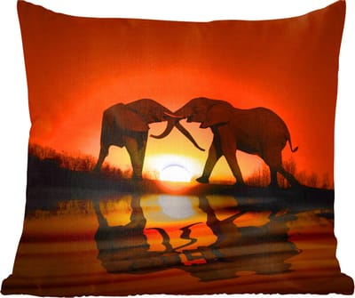 Sierkussens - Kussentjes Woonkamer - 60x60 cm - Olifant - Zon - Afrika