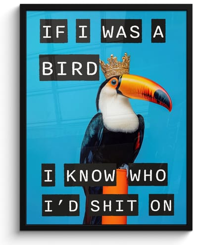 Poster in lijst - Fotolijst 60x80 cm - Posters - Vogel - Toekan - Blauw - Quotes - Posterlijst zwart - Decoratie - Wanddecoratie woonkamer - Muurdecoratie slaapkamer