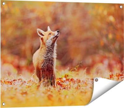 Gards Tuinposter Vos in het Bos tussen de Bladeren - 80x60 cm - Tuindoek - Tuindecoratie - Wanddecoratie buiten - Tuinschilderij