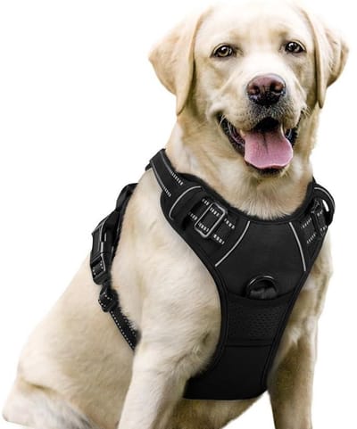 GELLDG Hondenborsttuig - Anti-trek Borsttuig met Reflecterende Strepen - Verstelbaar en Ademend Tuig Geschikt voor Grote Honden - Stof Materiaal - Maat L