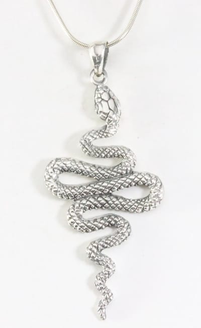 Zilveren slang hanger aan ketting