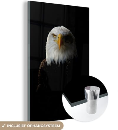 MuchoWow® Glasschilderij 120x180 cm - Schilderij acrylglas - Adelaar - Vogel - Zwart - Foto op glas - Schilderijen