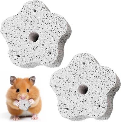 Natuurlijke Calcium Mineralen Steen voor Hamsters en Cavia's - Kauwspeelgoed voor Kleine Huisdieren, Ideaal als Snack en Tandverzorging, Inclusief Papegaaien Chew Blok