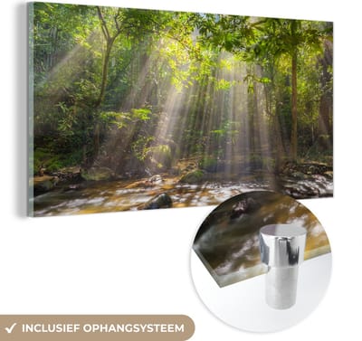 MuchoWow® Glasschilderij 40x20 cm - Schilderij acrylglas - Zonnestralen door bladerdek - Foto op glas - Schilderijen