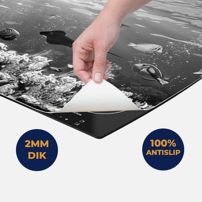 Chefcare Inductie Beschermer Vissen met Koraalrif onder Water - Zwart Wit - 60x50 cm - Afdekplaat Inductie - Kookplaat Beschermer - Inductie Mat