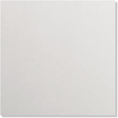 Cards & Crafts 50 x Scrapbookkarton Licht Grijs - Scrapbook - Hobbypapier - Cardstock 30,5x30,5cm - Knutselpapier 250g/m²