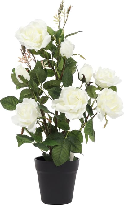 Witte kunstrozen struik | 60cm - kunst kamerplant - namaak rozenplant - kunstrozen plant voor binnen
