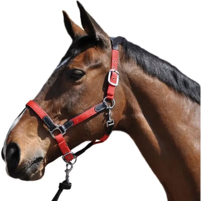 Nylon/leren halster Flags&Cup