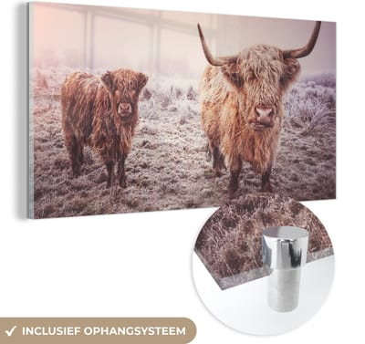 MuchoWow® Glasschilderij 120x60 cm - Schilderij acrylglas - Schotse Hooglander - Winter - Sneeuw - Koe - Weiland - Bruin - Foto op glas - Schilderijen