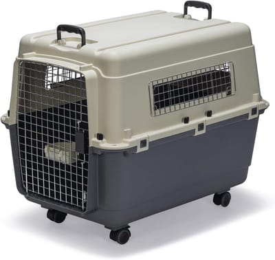 Transportbox voor Honden - Veilig en Comfortabel Reisgemak