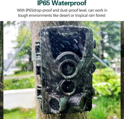 Jachtpad Camera Nachtzicht - Hc801a - Motion-Geactiveerde Outdoor Camera - Trigger Wildlife Scouting