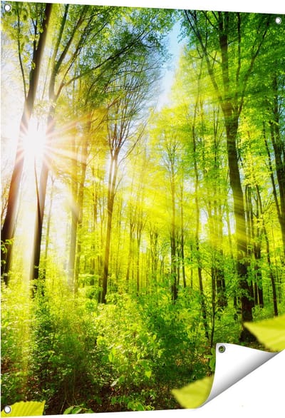 Gards Tuinposter Weg Omringd met Bomen in het Bos - 80x100 cm - Tuindoek - Tuindecoratie - Wanddecoratie buiten - Tuinschilderij
