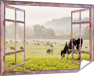 Gards Tuinposter Doorkijk Zwart Witte Koeien in de Wei - 150x100 cm - Tuindoek - Tuindecoratie - Wanddecoratie buiten - Tuinschilderij