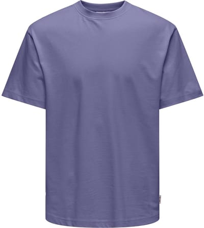 ONLY & SONS T-shirts ONSFRED T-shirts