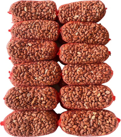 Ongezouten Pindanetjes 10x 200GRAM - 100% Drooggeroosterd - Pinda´s Voor Vogels - Vogelpinda's - Vogelvoer Buitenvogels - Geen olie en zout toegevoegd!
