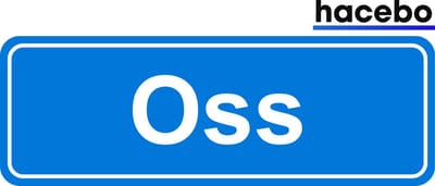 Hacebo - Plaatsnaam Sticker - 29x10 CM - Oss sticker - Verkeersborden sticker - grappige cadeaus - Oss