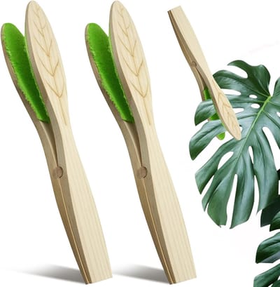 2 Stuks Bladreiniging Toner met Houten Handvat - Bladreiniger voor Binnen- en Buitengewone Planten, Natuurlijke Onderhoudsborstel
