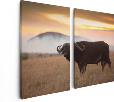 Artaza Canvas Schilderij Tweeluik Buffel in het Gras - 80x60 - Foto Op Canvas - Canvas Print