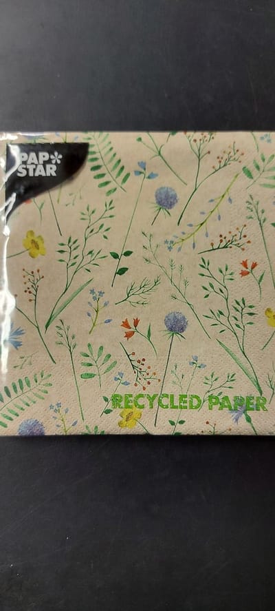 Papstar Recycled Paper Servetten Gerecycled, schone energie