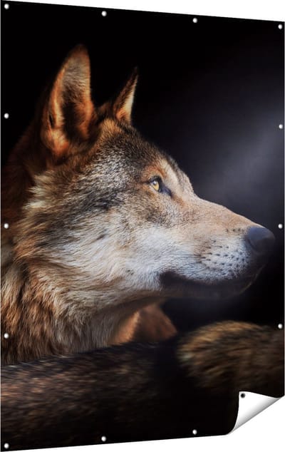 Gards Tuinposter Wolvenkop met een Zonnestraal - Wolf - 120x160 cm - Tuindoek - Tuindecoratie - Wanddecoratie buiten - Tuinschilderij