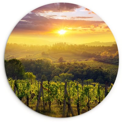 WallCircle® Wandcirkel 60x60 cm - Muurcirkel Toscane - Italië - Druivenbomen - Muurdecoratie woonkamer - Wanddecoratie slaapkamer - Kamer decoratie accessoires - Ronde schilderijen