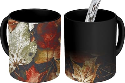Magische Mok - Foto op Warmte Mokken - Koffiemok - Herfstbladeren - Herfst - Seizoenen - Natuur - Magic Mok - Beker - 350 ML - Theemok