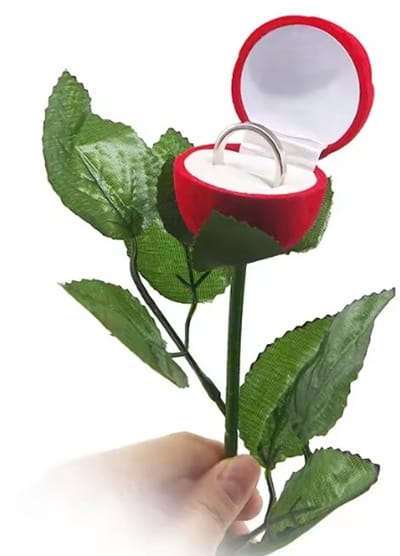 Ringdoosje roos - Valentijn cadeau - aanzoek - verloving - bruiloft - huwelijksaanzoek - liefde - rood - Valentijn - sieradendoos - ring - cadeau