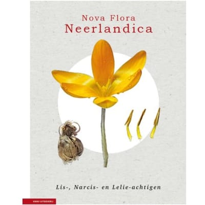 Nova Flora Neerlandica Deel 3 - Lis-, Narcis- En Lelieachtigen - Nova Flora Neerlandica - Joop Schaminée