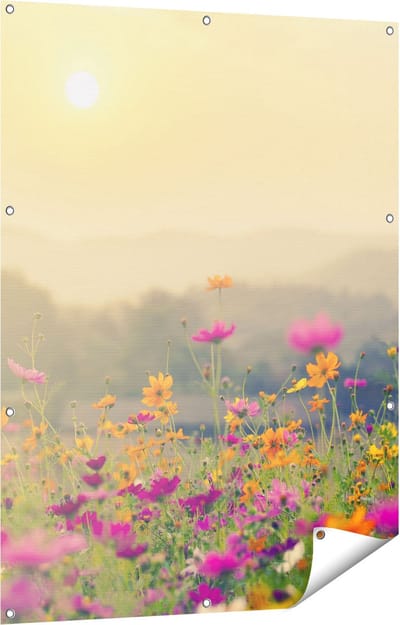 Gards Tuinposter Bloemenveld met Kosmos - Zonsondergang - 90x120 cm - Tuindoek - Tuindecoratie - Wanddecoratie buiten - Tuinschilderij