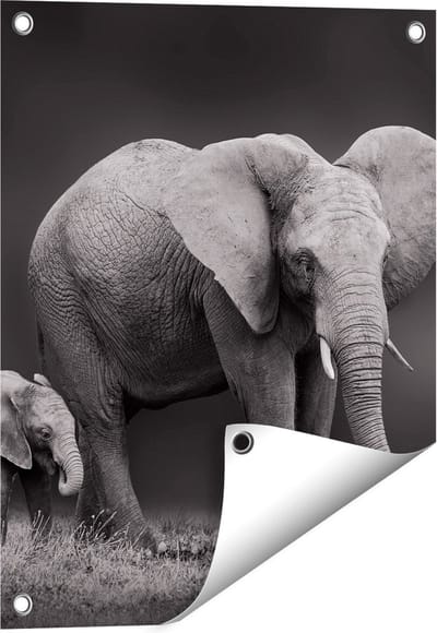 Gards Tuinposter Olifant Moeder en Zoon - Zwart Wit - 40x50 cm - Tuindoek - Tuindecoratie - Wanddecoratie buiten - Tuinschilderij