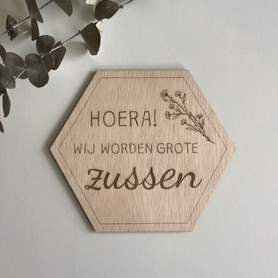 Zwangerschapsaankondiging - Zussen